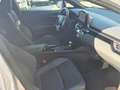 Toyota C-HR E-CVT More B. Argento - thumbnail 9