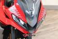 Triumph Tiger Sport Tiger Sport 660 (2022 - 24) - thumbnail 14