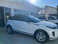 Land Rover Range Rover Evoque Range Rover Evoque 2.0d i4 mhev S awd 163cv auto Weiß - thumbnail 7
