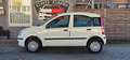 Fiat Panda 1.2 8V Power Panda*TÜV NEU* Weiß - thumbnail 6