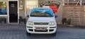 Fiat Panda 1.2 8V Power Panda*TÜV NEU* Weiß - thumbnail 3