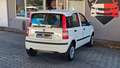 Fiat Panda 1.2 8V Power Panda*TÜV NEU* Weiß - thumbnail 9