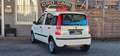 Fiat Panda 1.2 8V Power Panda*TÜV NEU* Weiß - thumbnail 8
