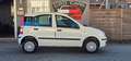 Fiat Panda 1.2 8V Power Panda*TÜV NEU* Weiß - thumbnail 5
