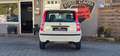 Fiat Panda 1.2 8V Power Panda*TÜV NEU* Weiß - thumbnail 7