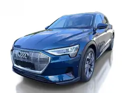 Audi e-tron 50 quattro basis ACC KAMERA NAVI SITZHZG