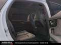 Audi SQ7 4.0*PANO*360°KAMERA*SCHWARZ PAKET*S-LINE*VOLL*22'' Weiß - thumbnail 25