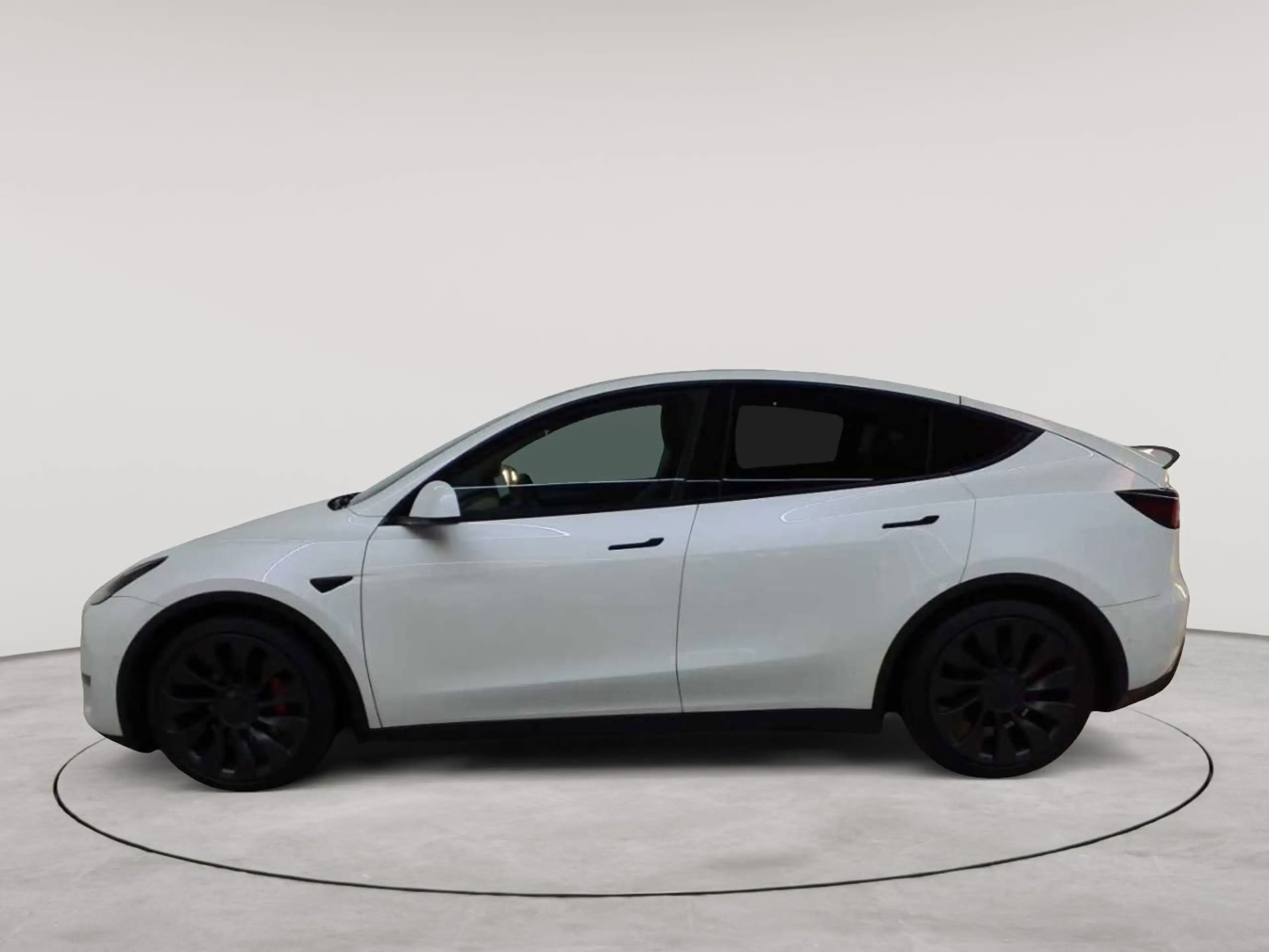 Tesla Model Y Model Y Performance AWD enh. Autopilot — photo 6