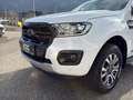 Ford Ranger Ranger Doppelkabine Wildtrak 4x4 2.0D EcoBlue A... Weiß - thumbnail 35