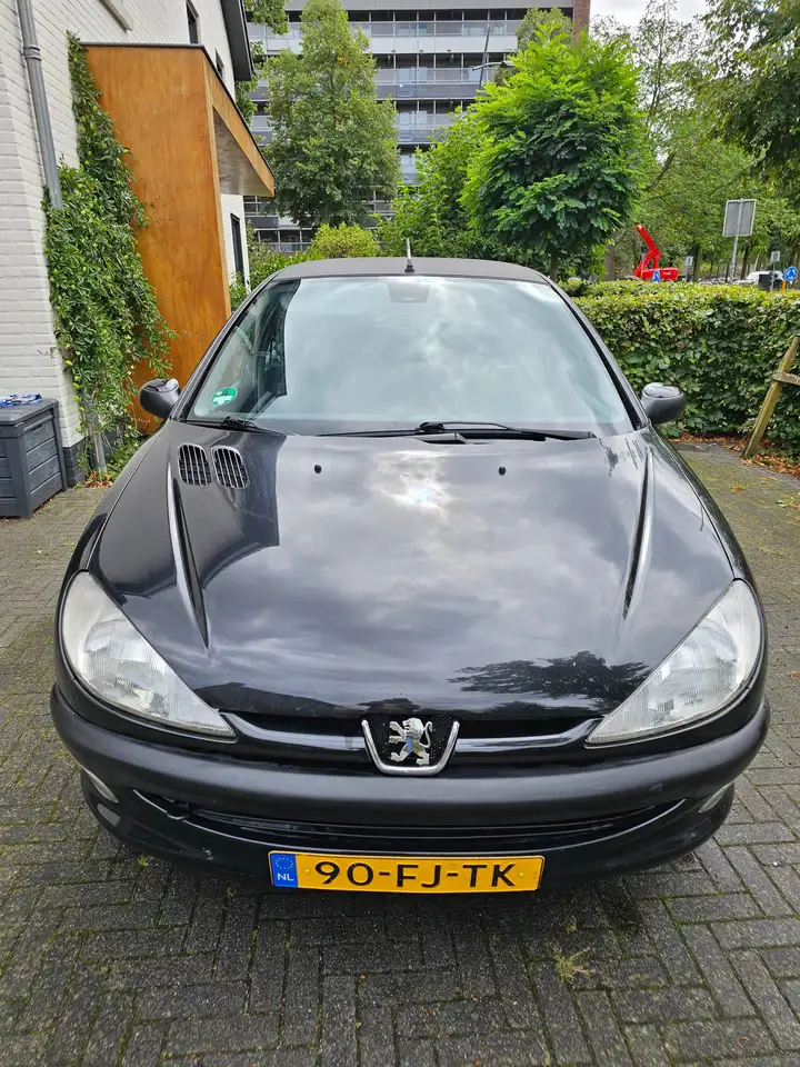 Peugeot 206, foto 4