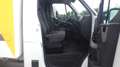 Renault Master (Stock ID 88579) Blanc - thumbnail 12