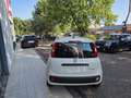 Fiat Panda Panda III 2024 1.0 firefly hybrid s Weiß - thumbnail 5