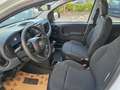 Fiat Panda Panda III 2024 1.0 firefly hybrid s Weiß - thumbnail 7