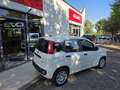 Fiat Panda Panda III 2024 1.0 firefly hybrid s Weiß - thumbnail 4