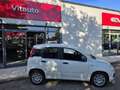Fiat Panda Panda III 2024 1.0 firefly hybrid s Weiß - thumbnail 3