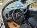 Fiat Panda Panda III 2024 1.0 firefly hybrid s Weiß - thumbnail 8