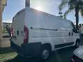 Peugeot Boxer 2.0 1 - thumbnail 4