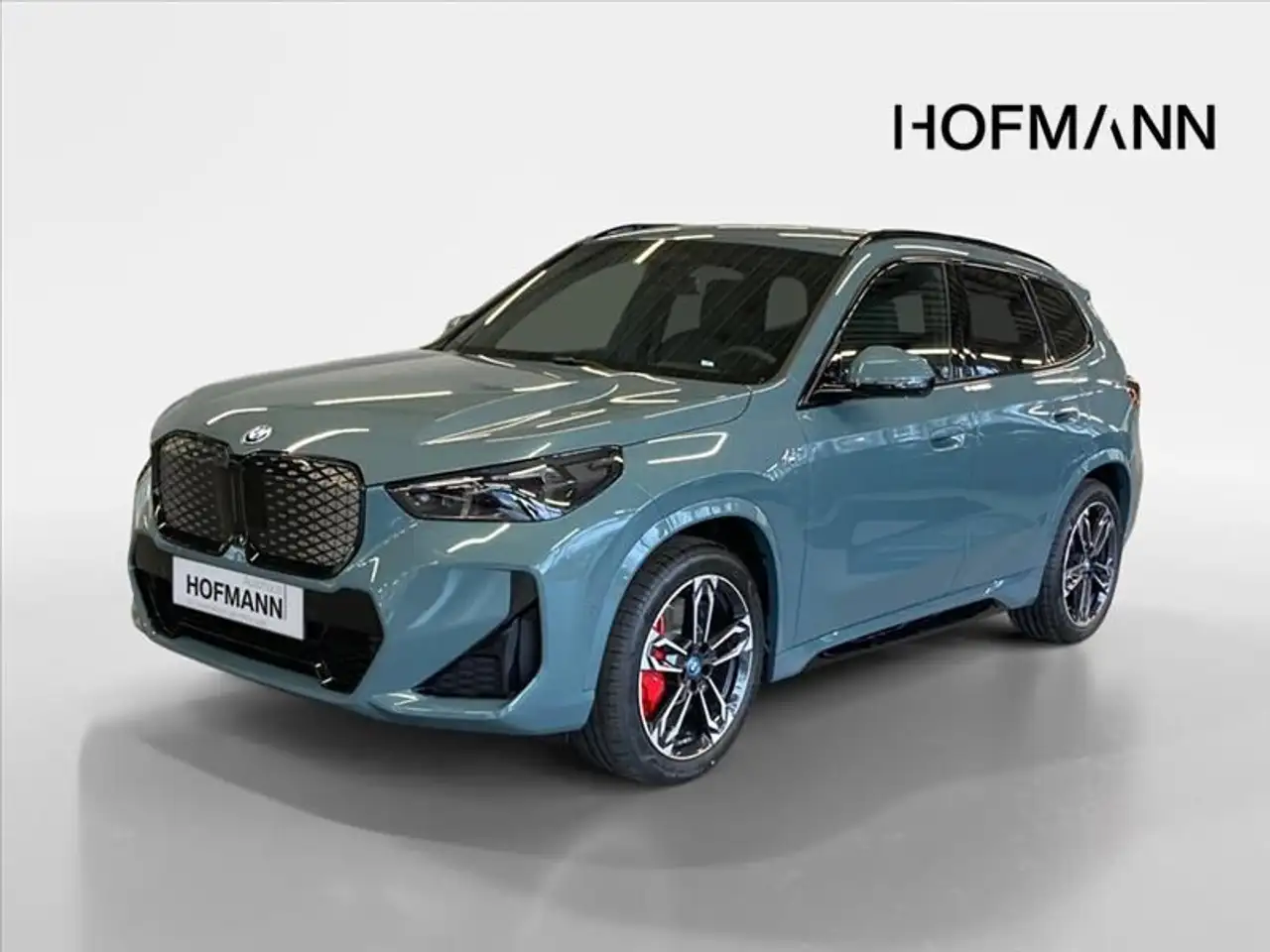 BMW iX1