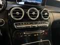Mercedes-Benz C 180 Cabrio AMG Line Leder AUT RKam PTS Ambi Grau - thumbnail 13