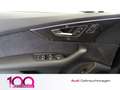 Audi Q7 S line 50 TDI quattro tiptonic Matrix-LED Standhei siva - thumbnail 8