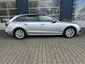 Audi A4 35 TFSI L. ED. BNS ALL.IN. Gris - thumbnail 3