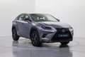 Lexus NX 300h Sport Edition 2WD Gris - thumbnail 3