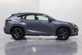 Lexus NX 300h Sport Edition 2WD Gris - thumbnail 7