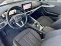 Audi A4 AUDI A4 AVANT 35 TDI ADVANCED - 2021 Nero - thumbnail 15