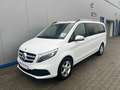 Mercedes-Benz V 220 LANG 9G-TR WEBASTO NAVI MBUX KAMERA 7-SITZ Blanc - thumbnail 1