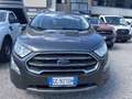Ford EcoSport 1.0 EcoBoost 125 CV Start&Stop Titanium Grey - thumbnail 4