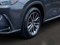 Lexus NX 350h 2.5 Hybrid Executive Tech.-Paket 8-fach bereift Grau - thumbnail 13