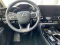 Lexus NX 350h 2.5 Hybrid Executive Tech.-Paket 8-fach bereift Grau - thumbnail 9