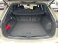 Volkswagen Touareg R-Line 3.0TDI 4Motion +AHK+LUFT+STDHZ+ Beige - thumbnail 17