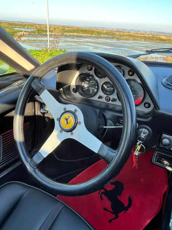 Ferrari 308, foto 7