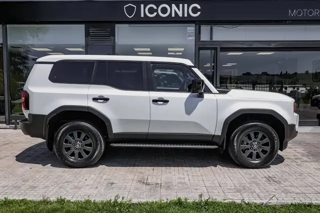 Toyota Land Cruiser view 5