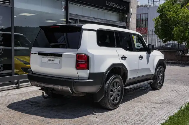 Toyota Land Cruiser view 6