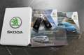 Skoda Octavia Combi 1.4 TSI iV PHEV Business|Rijklaar prijs|Afn. Zwart - thumbnail 39