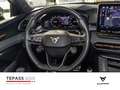 CUPRA Terramar VZ 2.0 TSI DSG 20 MATRIX PANO NAVI AHK Grau - thumbnail 12
