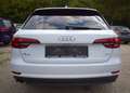 Audi A4 Avant 2,0 TDI Weiß - thumbnail 5