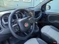 Fiat Panda Panda 1.0 firefly hybrid Cross s&s 70cv Blau - thumbnail 17