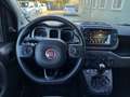 Fiat Panda Panda 1.0 firefly hybrid Cross s&s 70cv Blau - thumbnail 6
