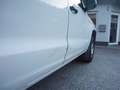 Volkswagen Amarok Basis DoubleCab Weiß - thumbnail 13