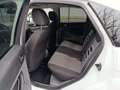Ford Focus Focus 1.6 TDCi ghia Blanc - thumbnail 9