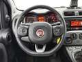 Fiat Panda 1.2 Lounge | Airco | Extra set winterwielen | Blauw - thumbnail 19