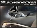 Kia Sportage 1,6 CRDI 48V Silber+ AWD DCT Gris - thumbnail 22