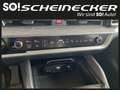 Kia Sportage 1,6 CRDI 48V Silber+ AWD DCT Gris - thumbnail 18