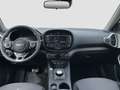 Kia Soul Kia Soul EV Edition 7 MJ2022 LED 3-Phase Grün - thumbnail 2