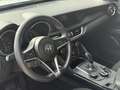 Alfa Romeo Stelvio Stelvio 2017 2.2 t Business rwd 160cv auto my19 Bianco - thumbnail 12