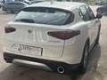 Alfa Romeo Stelvio Stelvio 2017 2.2 t Business rwd 160cv auto my19 Bianco - thumbnail 5