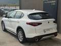 Alfa Romeo Stelvio Stelvio 2017 2.2 t Business rwd 160cv auto my19 Bianco - thumbnail 3